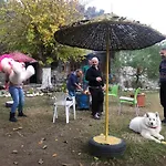 Zirkon Doga Butik * 페티예