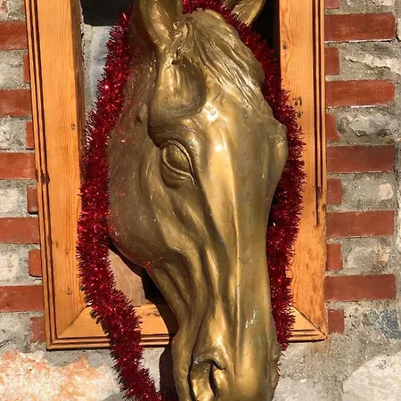 Zirkon Doga Butik Hébergement de vacances Fethiye