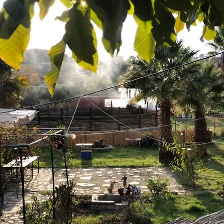 Zirkon Doga Butik Hébergement de vacances Fethiye