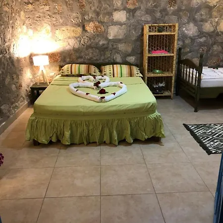 Casa de Férias Zirkon Doga Butik *