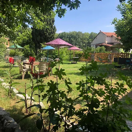 Bed & Breakfast Zirkon Doga Butik *
