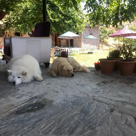 Zirkon Doga Butik Casa de Férias *