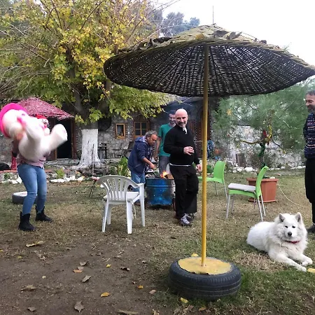 Zirkon Doga Butik * فتحية