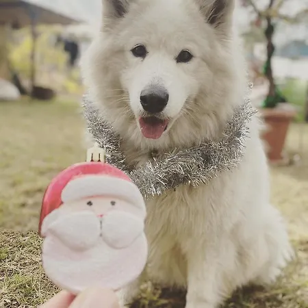 Zirkon Doga Butik Holiday home