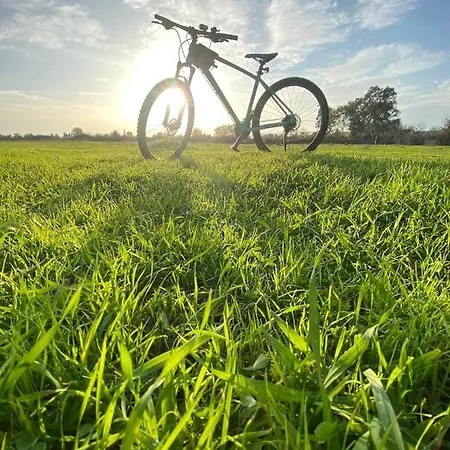 Zirkon Doga Butik Casa de Férias