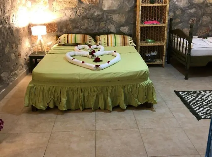 Tatil Evi Zirkon Doga Butik *