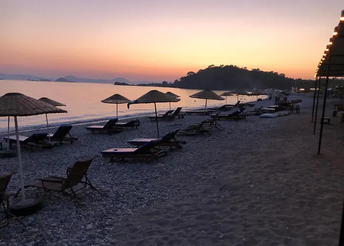 Tatil Evi Zirkon Doga Butik *