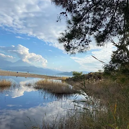 Tatil Evi Zirkon Doga Butik