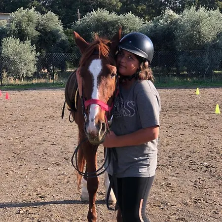 Zirkon Doga Butik Σπίτι διακοπών *