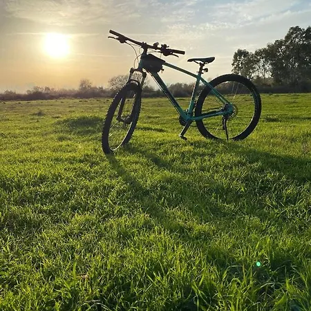 Zirkon Doga Butik * Φετιγιέ