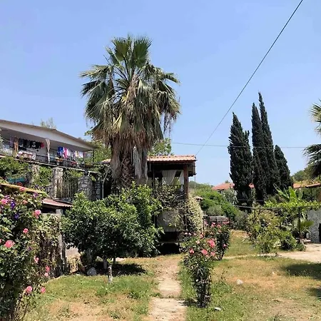 Zirkon Doga Butik Φετιγιέ