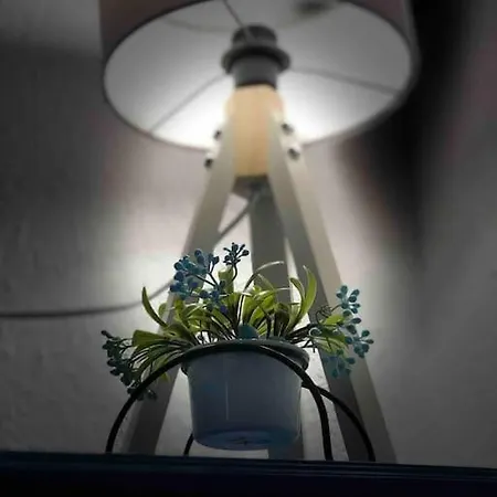 Σπίτι διακοπών Zirkon Doga Butik Φετιγιέ