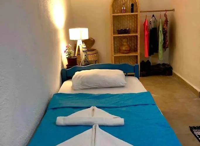 Zirkon Doga Butik